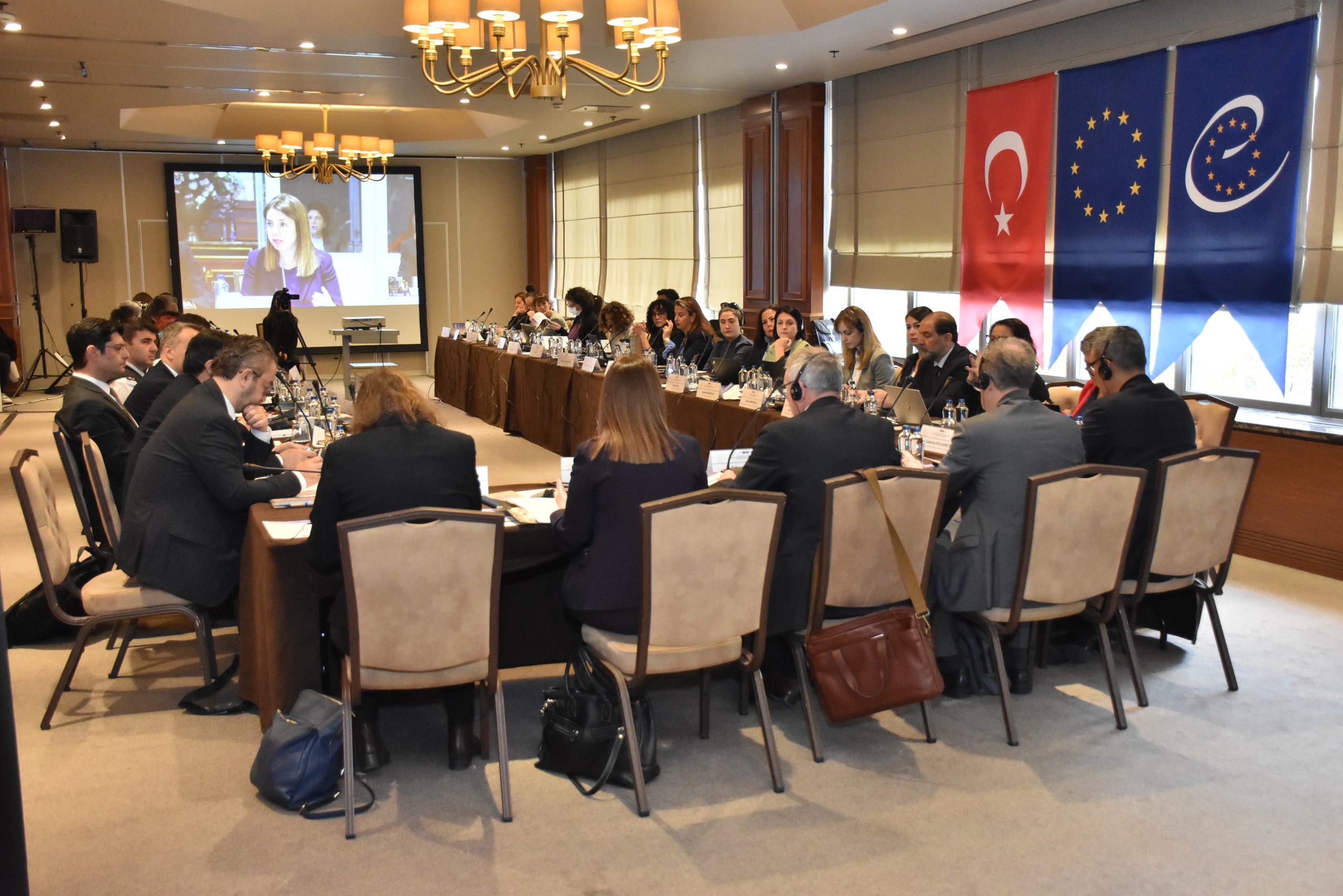 Gençlik Suçluluğunda  Pekin Kuralları ve Avrupa Konseyi Standartları Çerçevesinde Gençlik Adalet Yönetimi: Kavramsal Gelişim ve Politik Uyum